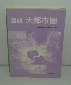 地理2001『図説 大都市圏』 富田和暁・藤井正 編