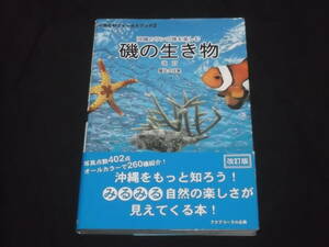 送料140円　沖縄のサンゴ礁を楽しむ　磯の生き物　改訂　屋比久壮実　写真点数402点　オールカラーで260種紹介　図鑑　