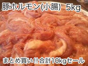 特別セール！！特価価格！！北海道産豚小腸 新鮮 急速冷凍!! 国産 豚ホルモン5kg！！10kg迄は送料同額にて同梱可能！！