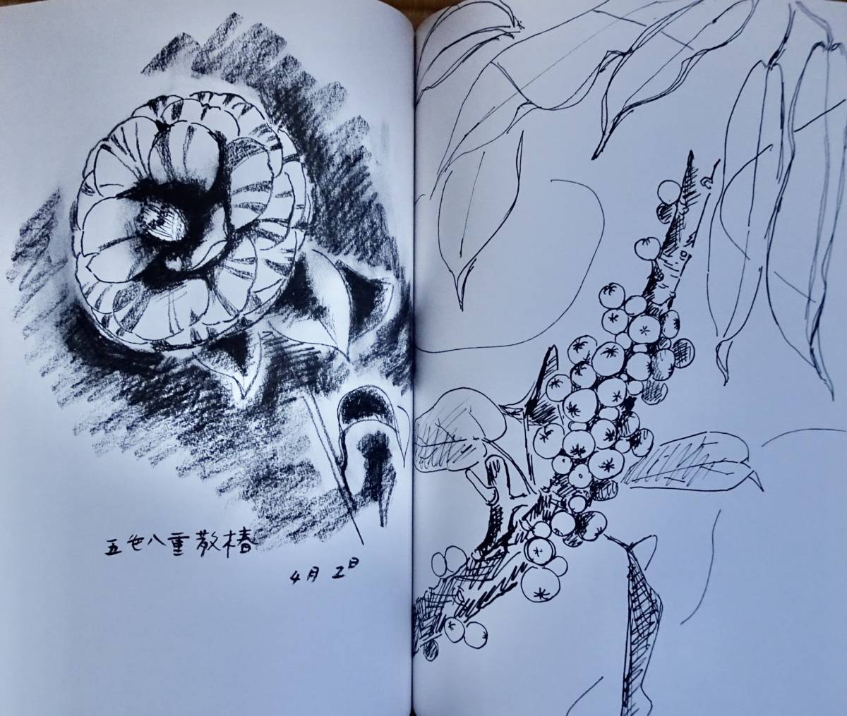 美行素描 帖佐美行 彫金 形象社 昭和56年発行 限定300部 美品(中古)の