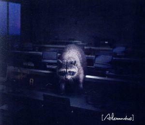 Ｂｅａｓｔ（初回限定盤）（Ｂｌｕ－ｒａｙ　Ｄｉｓｃ付）／［Ａｌｅｘａｎｄｒｏｓ］