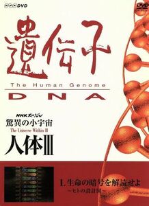 ＮＨＫスペシャル　驚異の小宇宙　人体III　ｖｏｌ．１生命の暗号を解読せよ～ヒトの設計図～／谷川俊太郎,大滝秀治,山根基世