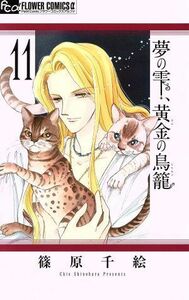 夢の雫、黄金の鳥籠(１１) フラワーＣアルファ　プチコミ／篠原千絵(著者)