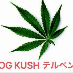 10ml OG KUSH ★テルペン★ CBD添加天然香料 大麻の香りそのまんま