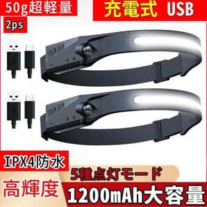 ヘッドライト 充電式 USB 5種点灯50g超軽量 高輝度 IPX4防水 2ps