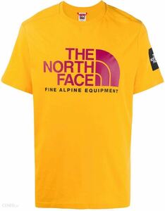 ザ ノースフェイス The North Face ロゴ Tシャツ　黄色