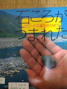 石ころがうまれた　ビロード石誕生のひみつ （地球ふしぎはっけんシリーズ　９） 渡辺一夫／著　宮崎耕平／絵　図書館廃棄本