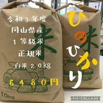 令和3年度 岡山県産 ひのひかり 白米 20㎏　一等級米._画像1