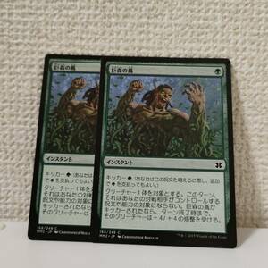 ★☆MTG 【英】巨森の蔦/Vines of Vastwood[緑C]【MM2】 ★☆ 在庫枚数2枚 全ての商品同梱可能