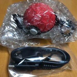 ケーブル付送料無料 モンスターボール PLUS ニンテンドー ポケットモンスター Let's Go ピカチュウ switch D