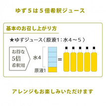 ゆず5 5倍希釈飲料 500ml ×12本セット_画像4