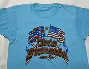 80's Dixie Stampede サザンクロス 星条旗 プリントTシャツ ビンテージ古着 スクリーンスターズ 80年代 vintage 70's SCREEN STARS USA