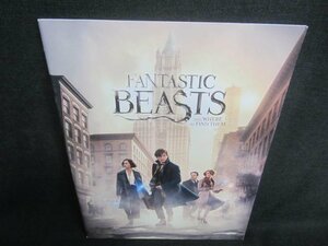 FANTASTIC BEASTS　パンフレット/DDR