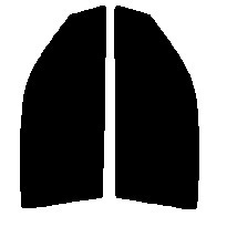 ライトスモーク　５０％ 運転席、助手席　シルビア　S15　カット済みフィルム