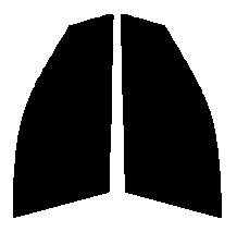 ライトスモーク　５０％　運転席、助手席　インスパイア　UC1　カット済みフィルム