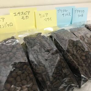 アフリカ３名産（エチオピア他）+中南米代表（グアテマラ他）コーヒー豆100gX5 -