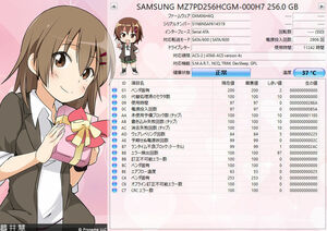 動作品　Samsung SSD SATA MZ7PD256HCGM 256GB 2.5インチ MZ7PD256M 　即決　送料無料
