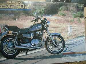 GSX250L 　カタログ スズキ　gsx250 l 