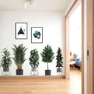 ウォールステッカー 　３D　植物　５本盆栽鉢　壁画 壁飾り 剥がせる　壁シートウォールシート DIY 壁紙　雰囲気変え 模様変え BB68