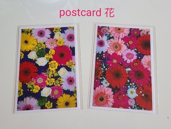 ポストカード* 花* ハンドメイドハガキ 写真 インテリア