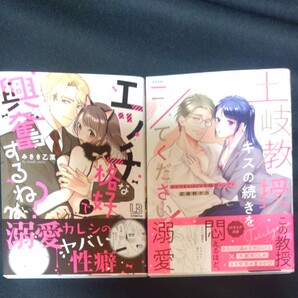 エッチな格好で興奮するね? 土岐教授、キスの続きをシてください! 1 武蔵野 チカ 著