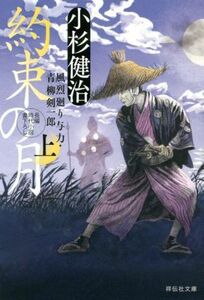 約束の月(上) 風烈廻り与力・青柳剣一郎 祥伝社文庫／小杉健治(著者)