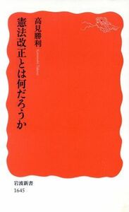 憲法改正とは何だろうか 岩波新書１６４５／高見勝利(著者)