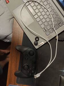 Nintendo Switch ニンテンドースイッチ Proコントローラー 動作確認済 純正 プロコン 任天堂 フリーク