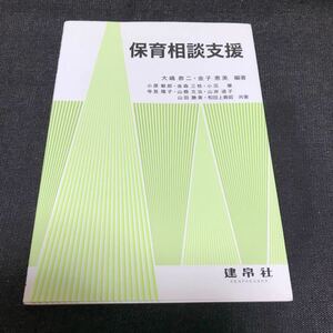 保育相談支援 大嶋恭二／編著　金子恵美／編著　小原敏郎　金森三枝　小沼肇　寺見陽子　山縣文治　山岸道子　山田勝美　和田上貴昭／共著