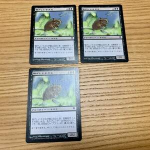 騒がしいネズミ / Chittering Rats 3枚セット 日本語版 / マジック：ザ・ギャザリング Magic: The Gathering MTG