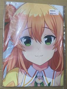 正規品 Z-M Pillows ミカン 抱き枕カバー アクアヴェール まちカドまぞく 陽夏木 未来電機