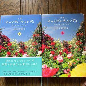 小説キャンディ・キャンディ 名木田恵子
