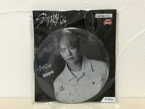 Stray Kids ストレイキッズ　BIG缶バッジ②　Seungmin スンミン