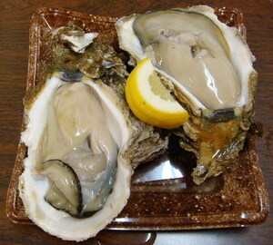 奥伊勢産　天然岩牡蠣（岩かき）大　生食可　5個入りセット