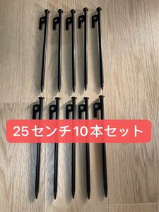 【新品】スチールペグ ペグ 10本セット25cm 最安値 キャンプ アウトドア