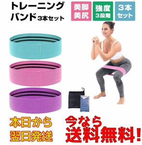 大人気商品 トレーニングチューブ　強度別3本セット　収納袋付　超軽量