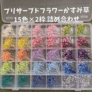 プリザーブドフラワーかすみ草 15色アソート