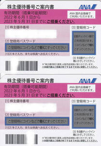 最新版　送料無料　ANA 株主優待券　２枚セット　２０２３年５月３１日まで