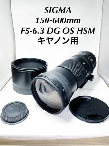 【ジャンク】SIGMA 150-600mm F5-6.3 DG OS HSM キヤノン用【１円スタート】