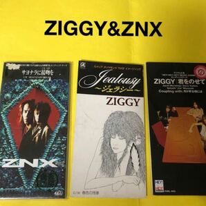 ZIGGY ZNX シングルセット