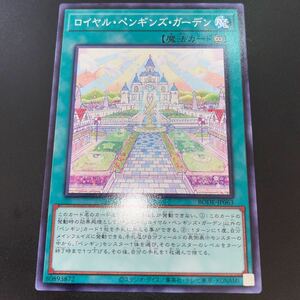 遊戯王 BODE-JP063　ノーマル　ロイヤル・ペンギンズ・ガーデン　BURST OF DESTINY