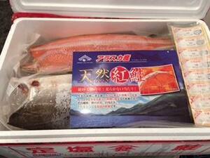 ■【天然紅鮭フィーレ　8kg　中辛　6-8枚】紅サケ　辛口　塩焼きに！