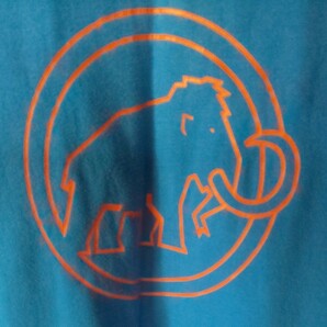 〔中古〕Tシャツ。