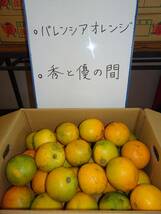 和歌山県有田出荷　バレンシアオレンジ（L）　約５ｋｇ（箱込み）_画像2