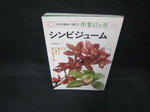 NHK趣味の園芸作業12か月7　シンビジューム　シミ有/DCD