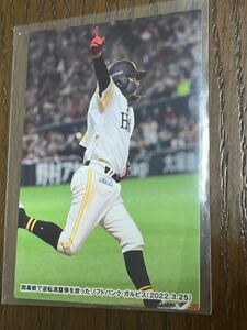 2022 Calbie Pro Baseball Card Card C-08 Fukuoka Softbank Hawks Garvis