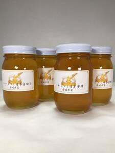 日本みつばちの ハチミツ　600ｇ瓶 ４個セット　送料無料 令和４年7月産 日本蜜蜂の蜂蜜　日本みつばちのはちみつ