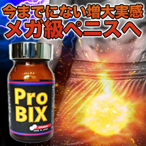 Pro BIX(プロビックス)2024.10～男性用サポートサプリ～