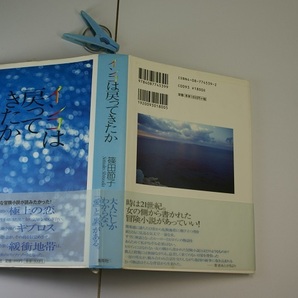 篠田節子著 インコは戻ってきたか 初版帯付良品 単行本 集英社2001年1刷 定価1800円 397頁 送188 の画像1