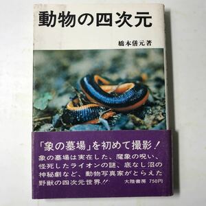 220829◆M01◆動物の四次元 橋本元 昭和48年初版発行 大陸書房 象 ライオン